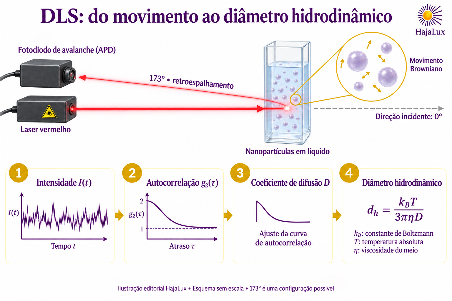 DLS com laser vermelho, detector APD em retroespalhamento a 173 graus, sinal flutuante, autocorrelação e cálculo do diâmetro hidrodinâmico por Stokes–Einstein.